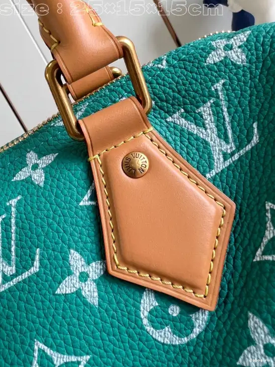 SPEEDY Vuitton Louis 25 0707